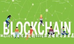 TPWallet中为何未支持BSV？深度解析与未来展望