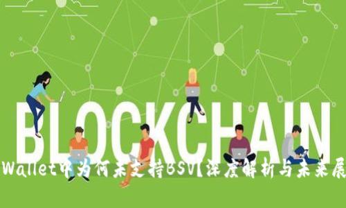 TPWallet中为何未支持BSV？深度解析与未来展望