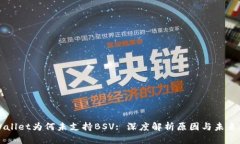 TPWallet为何未支持BSV: 深度解析原因与未来展望
