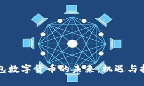 钱包数字货币的未来：机遇与挑战