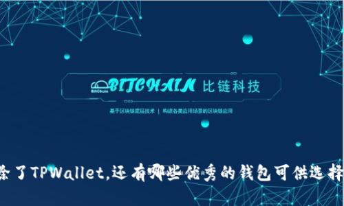 除了TPWallet，还有哪些优秀的钱包可供选择？
