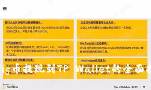: Pig币提现到TP Wallet的全面指南