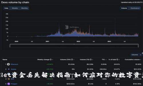 TPWallet资金丢失解决指南：如何应对你的数字资产情况