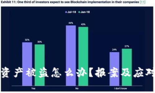 tpwallet资产被盗怎么办？报案及应对措施详解