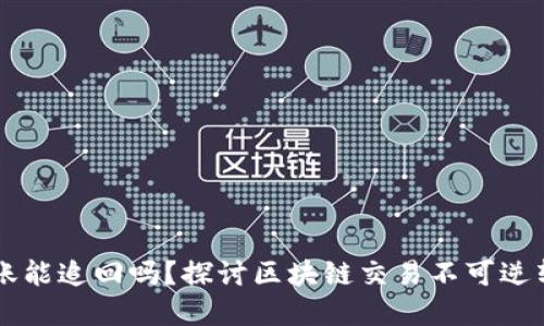 TPWallet转错账能追回吗？探讨区块链交易不可逆转性与解决方案