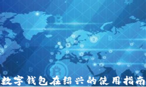 
数字钱包在绍兴的使用指南