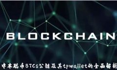 中本聪币BTCs公链及其tpw