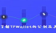 深入了解TPWallet的公钥及其