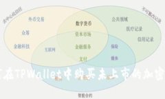 如何在TPWallet中购买未上市