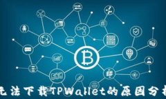 苹果设备上无法下载TPWa