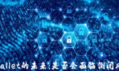 TPWallet的未来：是否会面临