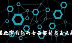 苹果数字钱包的全面解析