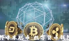 TPWallet支持中本聪币：数字