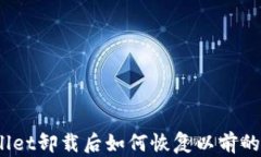 tpwallet卸载后如何恢复以前