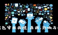 : 数字钱包审核困境：原因