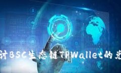 深入探讨BSC生态链TPWalle