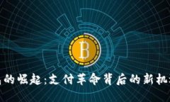 数字钱包的崛起：支付革