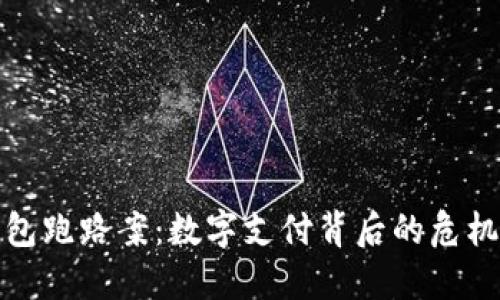 数字钱包跑路案：数字支付背后的危机与反思