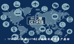 : TPWallet能存DAT吗？全面解