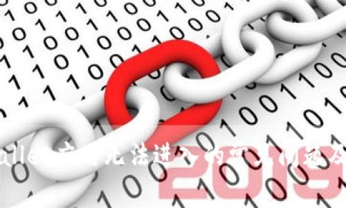 解决TPWallet应用无法进入的常见问题及解决方案