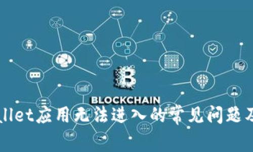 解决TPWallet应用无法进入的常见问题及解决方案