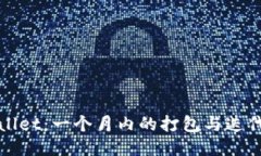 TPWallet：一个月内的打包与