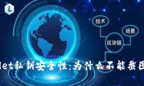 tpwallet私钥安全性：为什么不能截图保存？