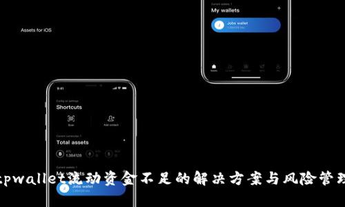 tpwallet流动资金不足的解决方案与风险管理
