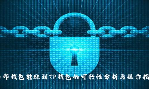 币印钱包转账到TP钱包的可行性分析与操作指南