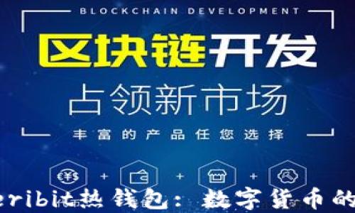 
深入探讨Deribit热钱包: 数字货币的安全与便利