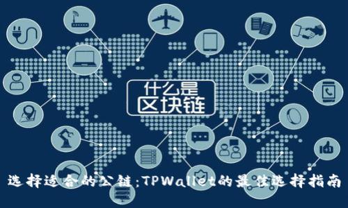 选择适合的公链：TPWallet的最佳选择指南