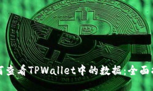 如何查看TPWallet中的数据：全面指南