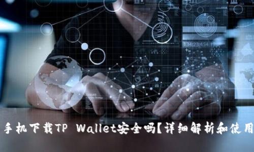 华为手机下载TP Wallet安全吗？详细解析和使用指南
