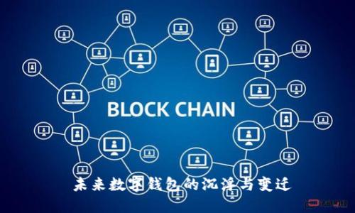  未来数字钱包的沉浮与变迁
