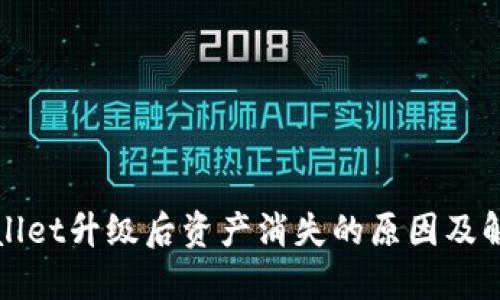 : TPWallet升级后资产消失的原因及解决方案