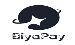 建行数字钱包密码重置指