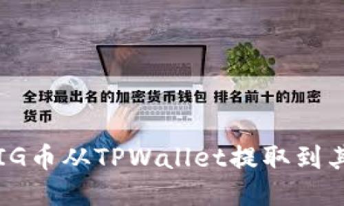 如何将PIG币从TPWallet提取到其他钱包？