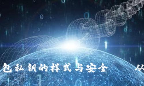 掌握数字钱包私钥的样式与安全——从基础到实践