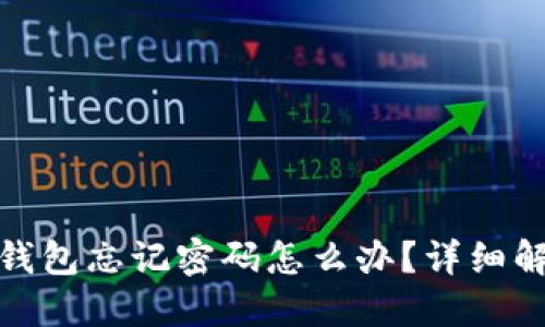 建设银行数字钱包忘记密码怎么办？详细解读与解决方案