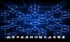 :数字开发原理详解及应用