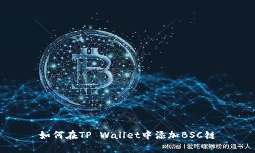 如何在TP Wallet中添加BSC链