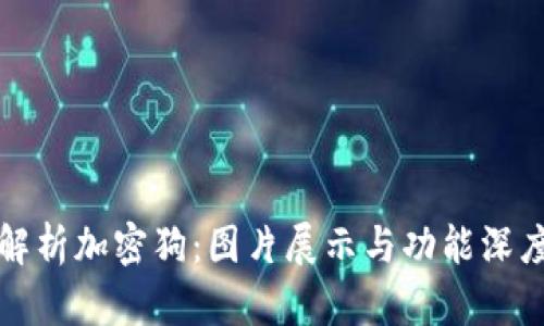 全面解析加密狗：图片展示与功能深度剖析