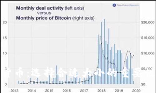 数字化货币：选择合适大小的重要性与影响