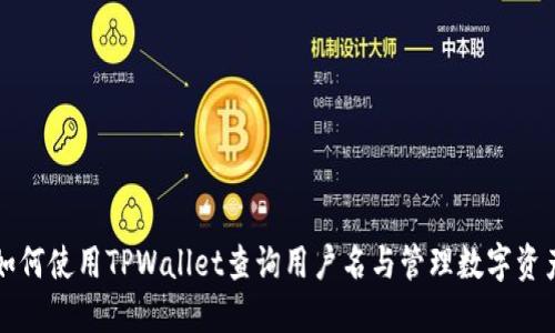 如何使用TPWallet查询用户名与管理数字资产